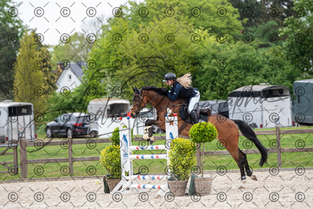 KPT_8617 | andre_photographic