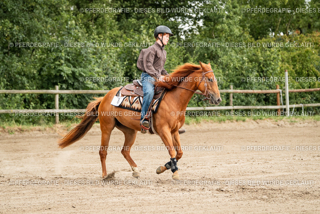 DSC04840 | Pferdegrafie