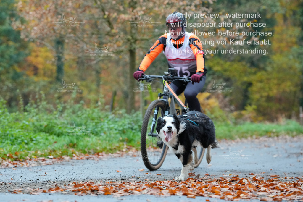 Bike_So-67 | stephaniefillaphotographie - Realisiert mit Pictrs.com