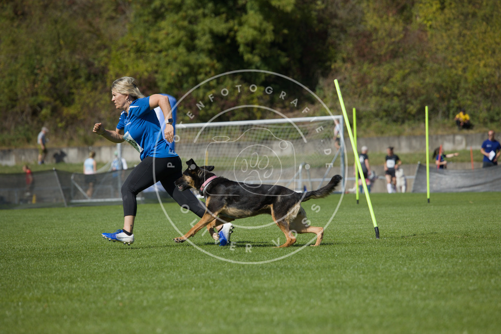 0L8A6706 | Hundefotografie, Tierfotograf, Pfotenfotografie, Fotoshooting Hund, Hunde Portrait, Hundesport, Hundeportraits, Heideshooting, Hunde, Sportfotograf, Hundefotograf, Turnierhundsport, THS,  - Realisiert mit Pictrs.com