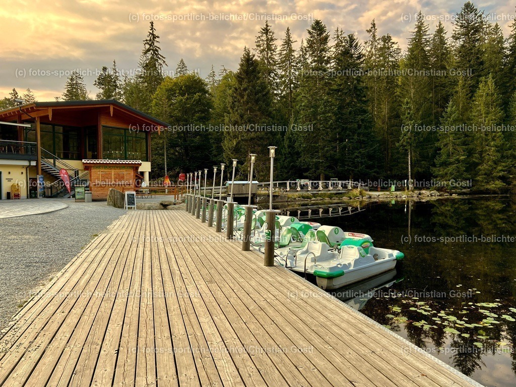 IMG_6693 2 | fotos-sportlich-belichtet - Realisiert mit Pictrs.com