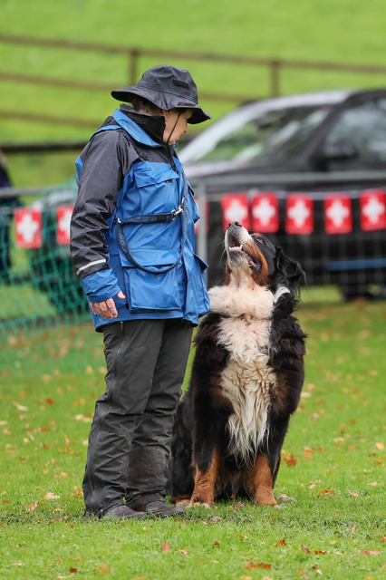 2025_Rally_Obedience_SM-71 | Ich fotografiere Hundeausstellungen, Sportanlässe, Zuchtstätten, Hundezucht, Hundeportrait, Lagotto - Realisiert mit Pictrs.com