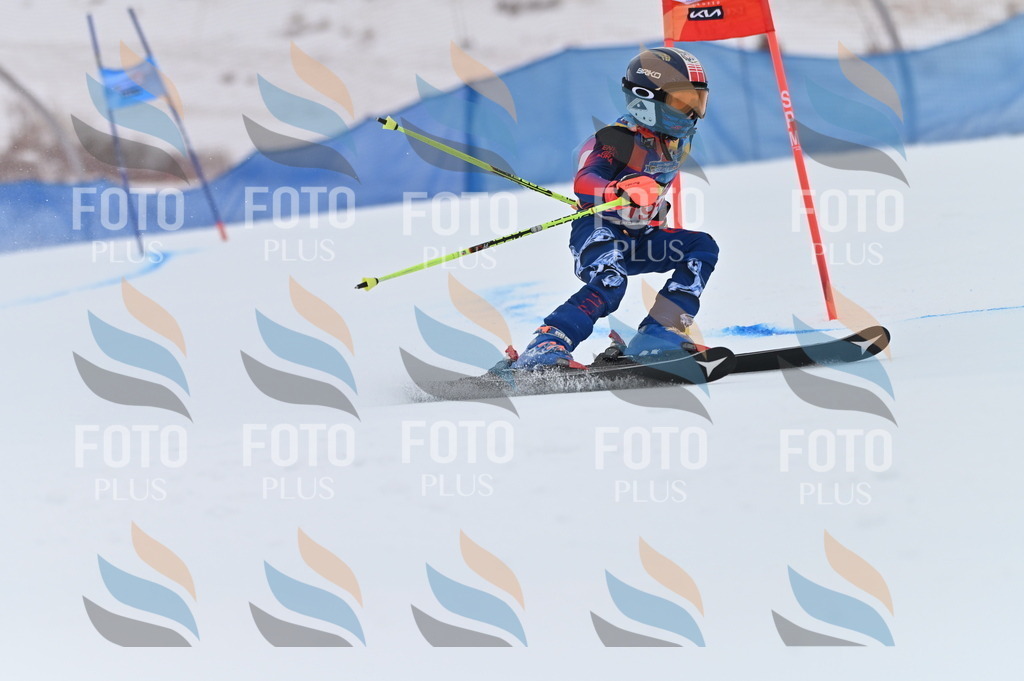 BGV_1491 | holidayphoto