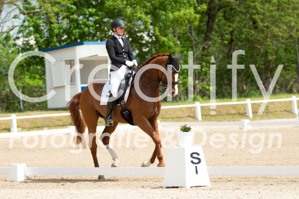 IMG_6460 | Creatify Fotografie