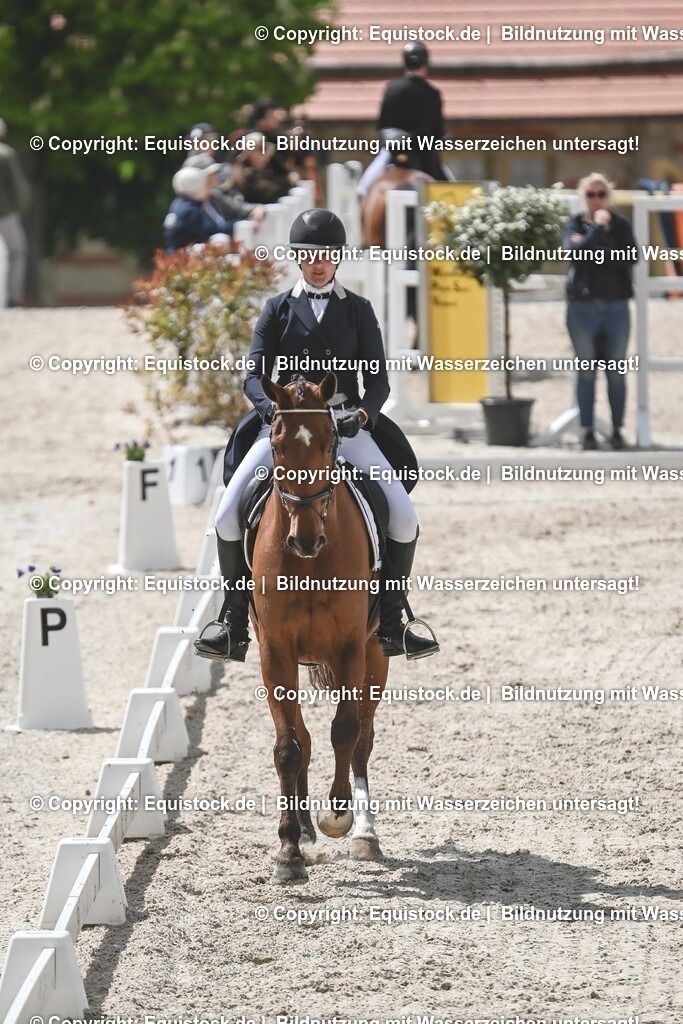 20250516_CCI2_Dressur_0318 | Foto: Thomas Hartig