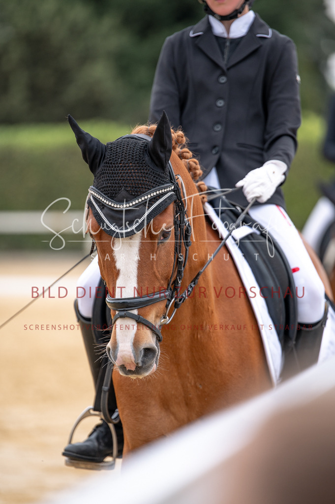 Schugtsche-Aluta25-40.DressurprfA_-430 | Schugtsche Fotografie - Realisiert mit Pictrs.com