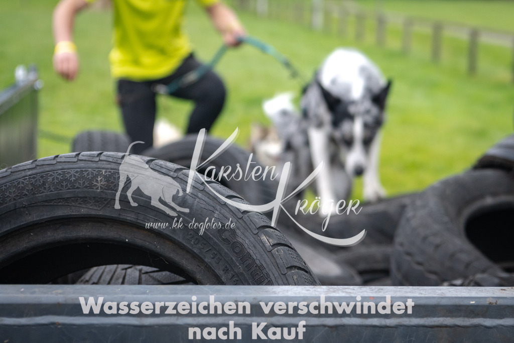 1212_ZZ94848 | kk-dogfotos