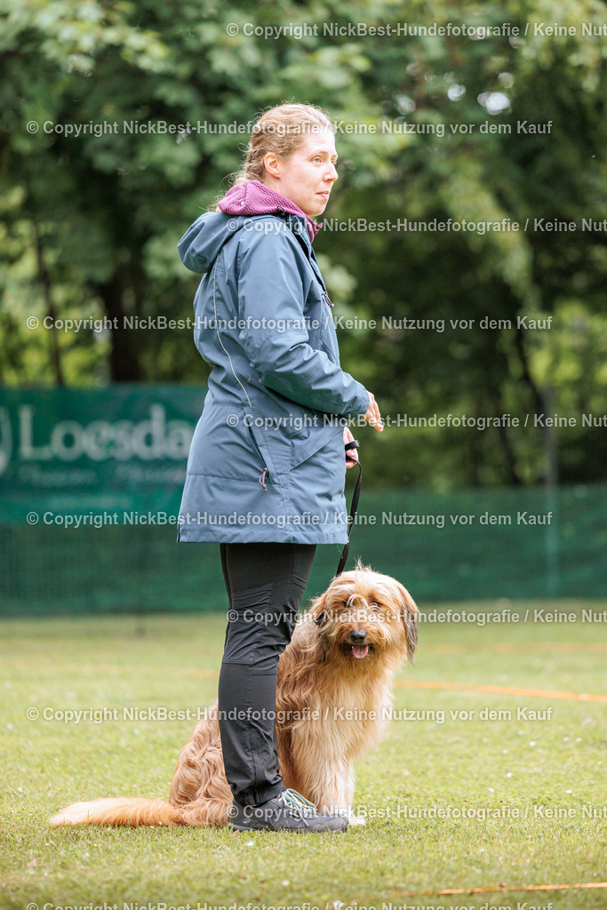 RO-Blumenthal-2026-Nickbest-Hundefotografie-2532 | Dein Hund! Dein Moment! Deine Erinnerungen! Hundefotografie in Bremen Blumenthal. Ich fange die besonderen Momente deines Vierbeiners ein – ob Indoor mit Blitzanlage oder in der freien Natur. Sicher dir dein Moment und dein Termin für eure Erinnerungen.