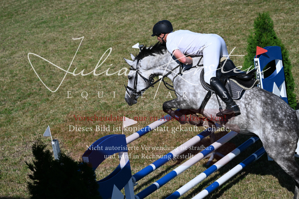 DSC_2229 | Pferde- und Turnierfotografie in Westsachsen. Pferdeportraits, Auftragszeichnungen und intuitive Kunst.
