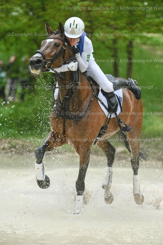20230513_CCI4_Gelände_0255 | equistock