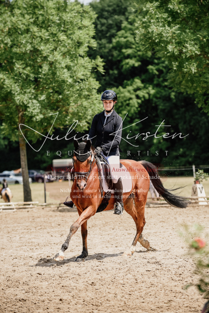 DSC_1759 | Pferde- und Turnierfotografie in Westsachsen. Pferdeportraits, Auftragszeichnungen und intuitive Kunst.