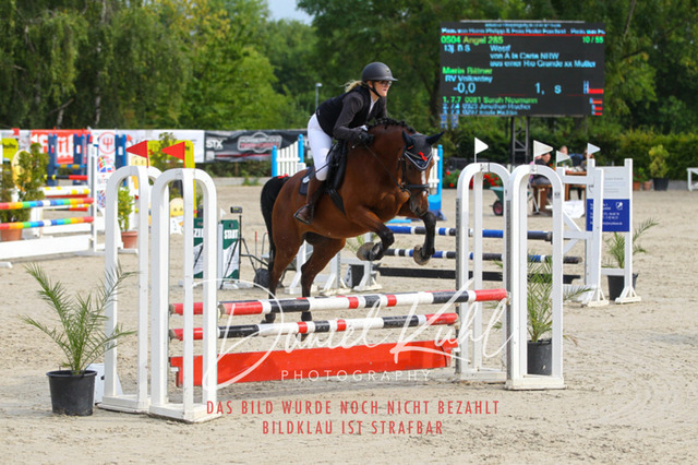 Gut Blee25_Amateuer Stilsprpfg Kl A_0069 | Turniersportfotografie; Pferdefotografie; Dressurfotografie