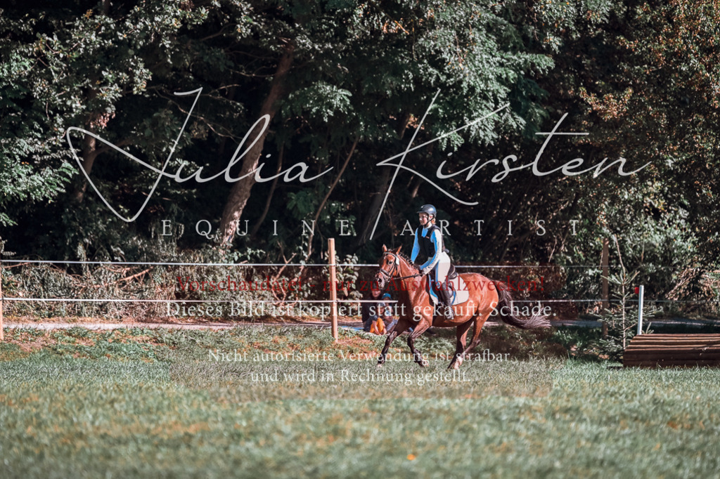 DSC_0684 | Pferde- und Turnierfotografie in Westsachsen. Pferdeportraits, Auftragszeichnungen und intuitive Kunst.