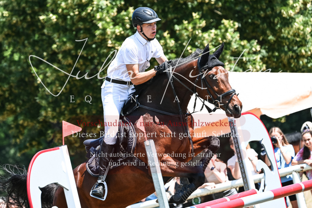 DSC_0370 | Pferde- und Turnierfotografie in Westsachsen. Pferdeportraits, Auftragszeichnungen und intuitive Kunst.