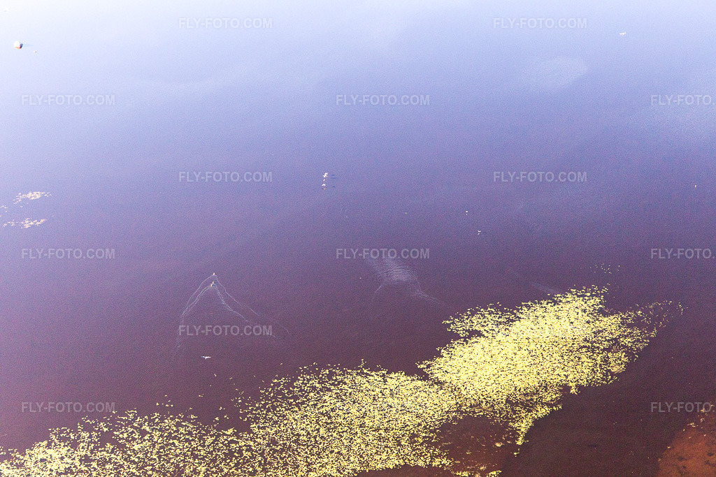 Aerial view: View of the town in Odensjö in the state Kronoberg, Sweden. – Photo: IMG_108313.jpg taken on 06/30/2018 by Werner Riehm/FLY-FOTO.com – Resolution of the original: 5472 x 3648 px