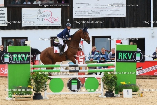 OHT1751 | Fotografie, Tiere, Hunde, Katzen, Pferde, Sportfotografie, Fotosession, Tierfotografie, Turnierfotografie, Fotografin, Fotograf - Realisiert mit Pictrs.com