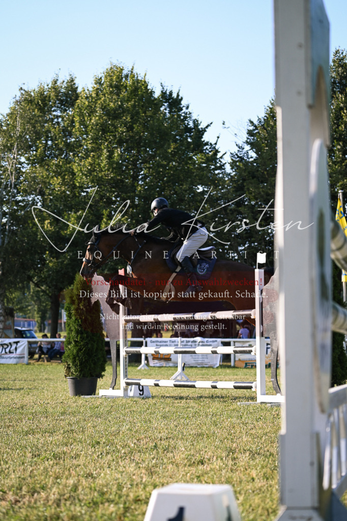 DSC_1815 | Pferde- und Turnierfotografie in Westsachsen. Pferdeportraits, Auftragszeichnungen und intuitive Kunst.