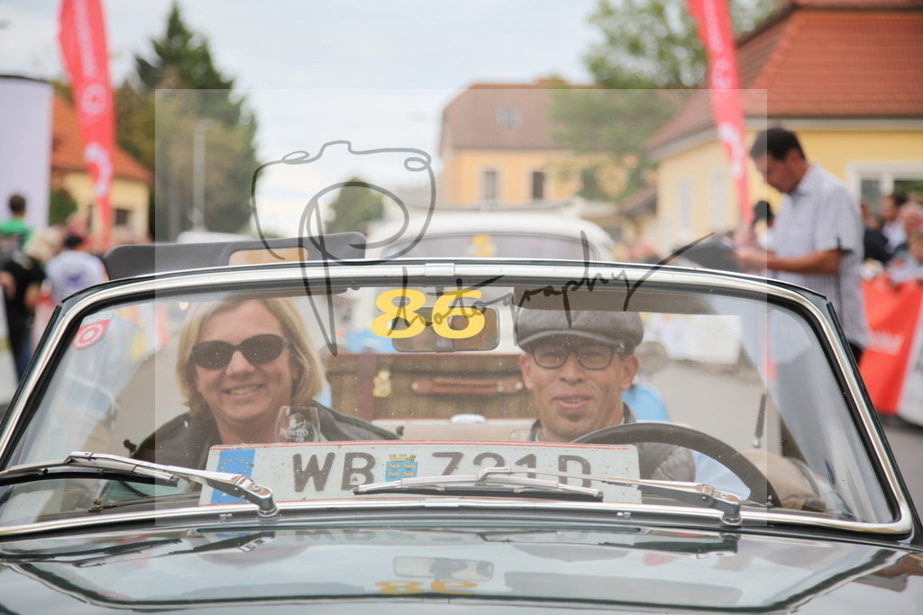 IMG_6531 | Gerhard Witt