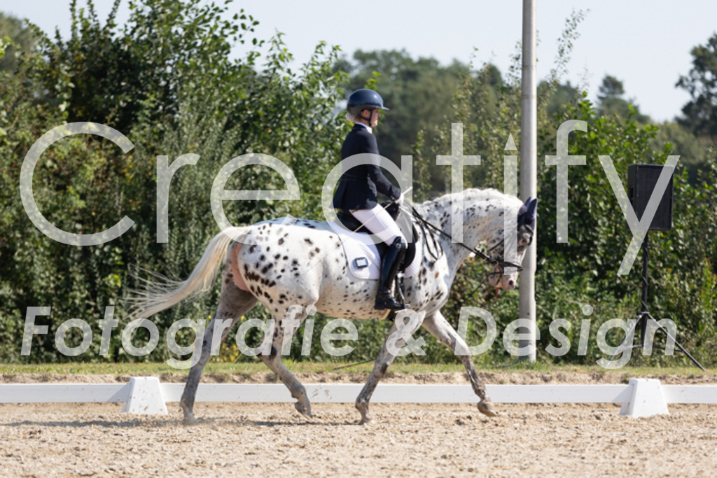 IMG_4641 | Creatify Fotografie