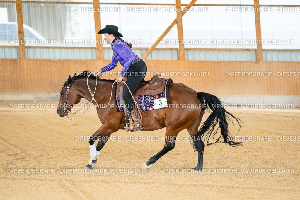 DSC07758 | Pferdegrafie