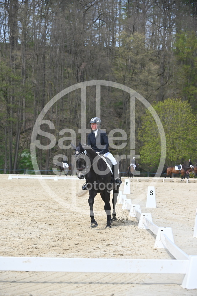 DSC_3035 | sattelsport - Realisiert mit Pictrs.com