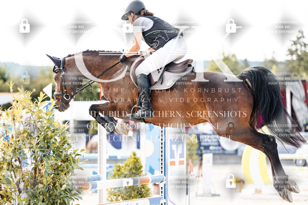 CK906313 | Turnierfotografie Pferdefotografie Trier Rheinland-Pfalz Pferdesport Reitsport Tierfotografie Sportfotografie Pferdevideo Pferdevideografie Equestrianvideography equestrianphotography  - Realisiert mit Pictrs.com