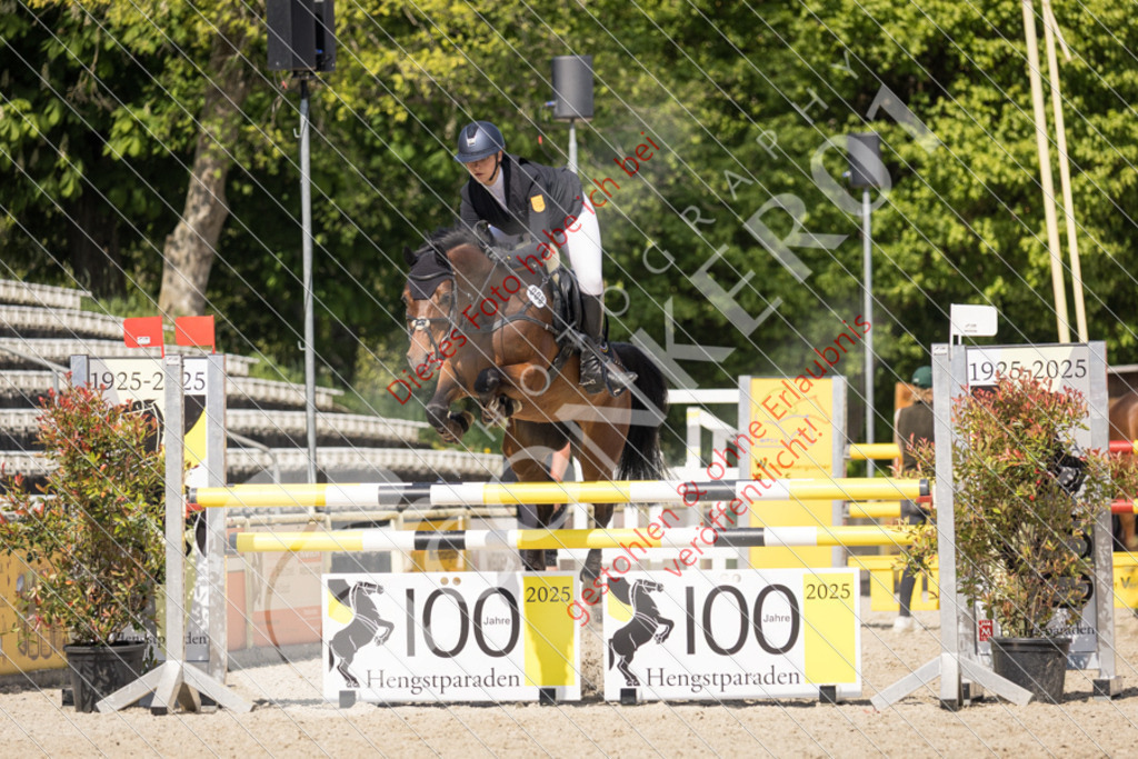 IMG_4245 | Sport-, Event- und Tierfotos in Profiqualität. Einfach auswählen, bestellen und herunterladen. Dein Moment – perfekt festgehalten.