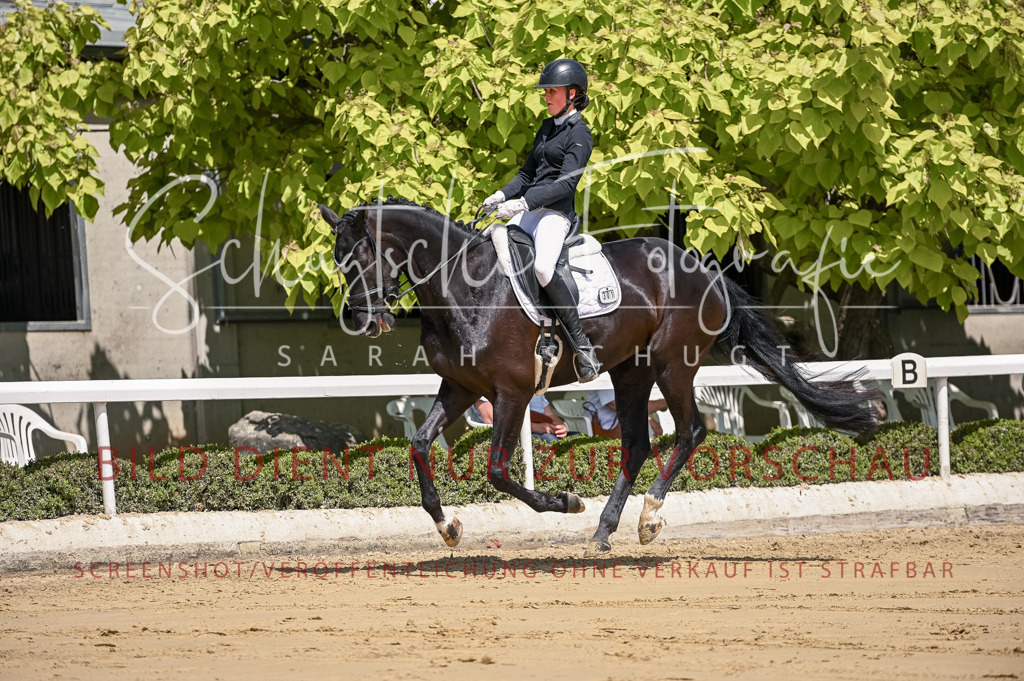 Schugtsche-Aluta25-48.Reitpferfdeprf.-226 | Schugtsche Fotografie - Realisiert mit Pictrs.com