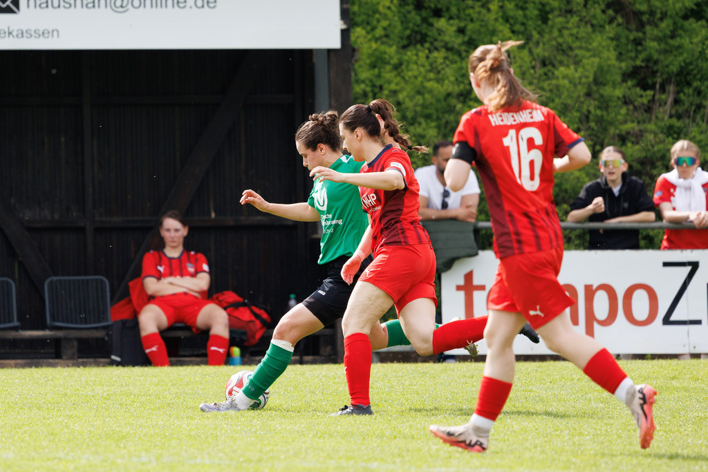 20260503-Steinheim-FCH_083 | Fotopresso – Sportfotografie in Heidenheim & Umgebung. Professionelle Sportfotografie für unvergessliche Momente. Dynamische Action-Shots, emotionale Szenen & hochwertige Bilder. - Realisiert mit Pictrs.com