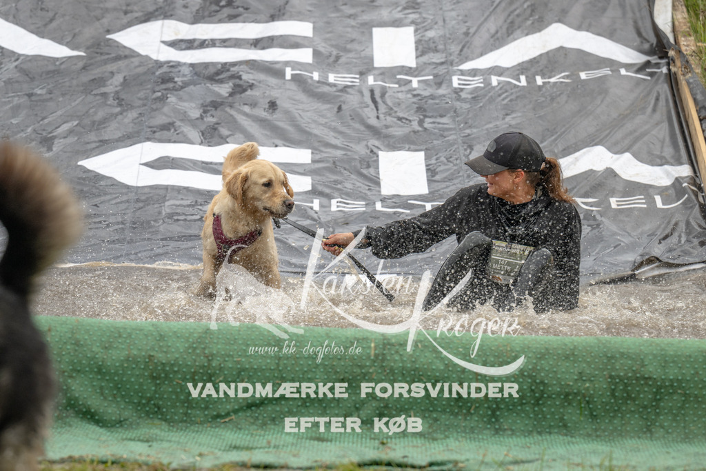 1550_ZZ91044 | kk-dogfotos