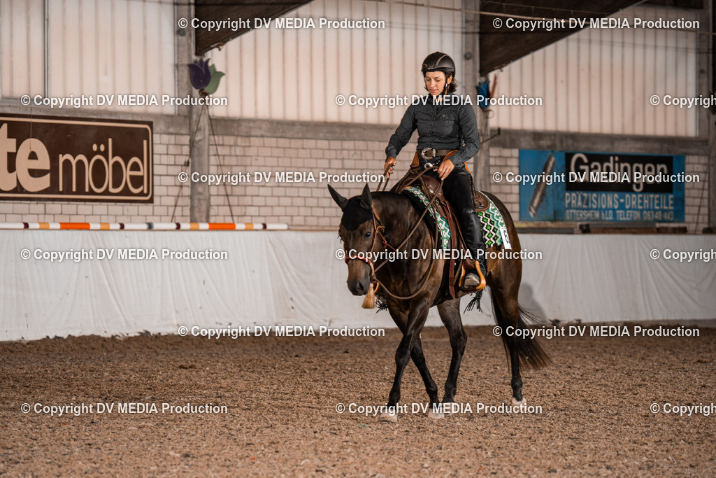 ZH300267 | dv-media-shop - Realisiert mit Pictrs.com