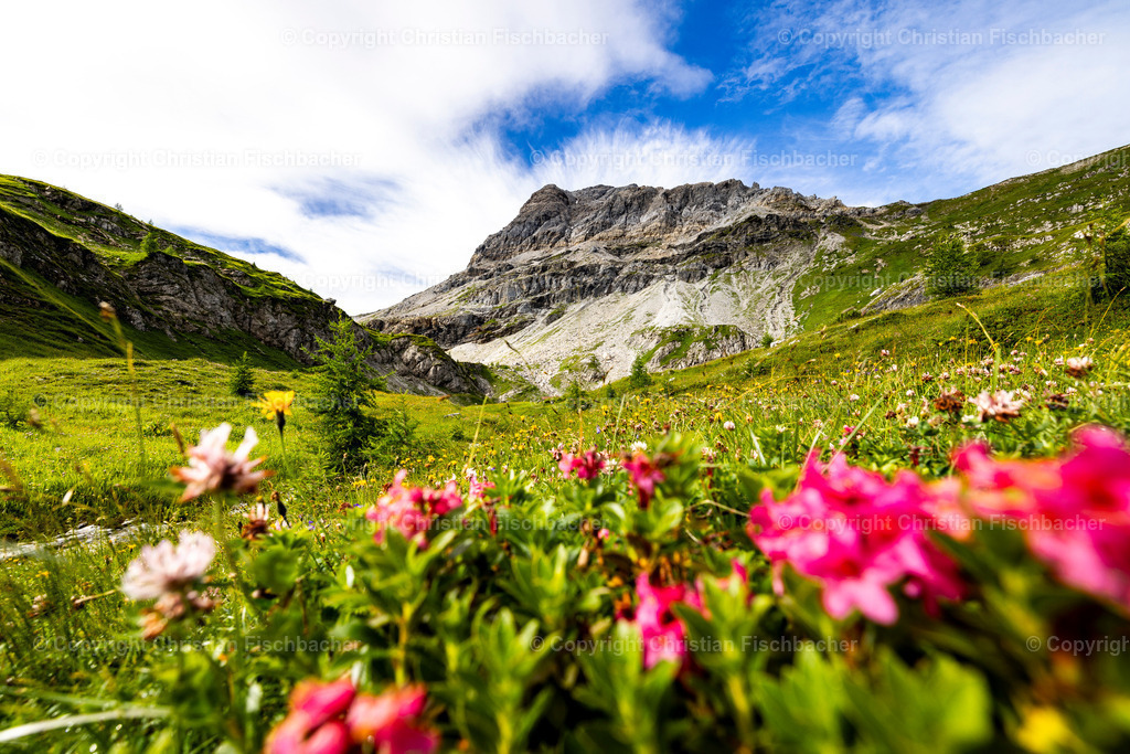 Fotos_Copyright_Chri_Fischbacher_Druck-460 | Bildershop Chri Fischbacher - Realisiert mit Pictrs.com