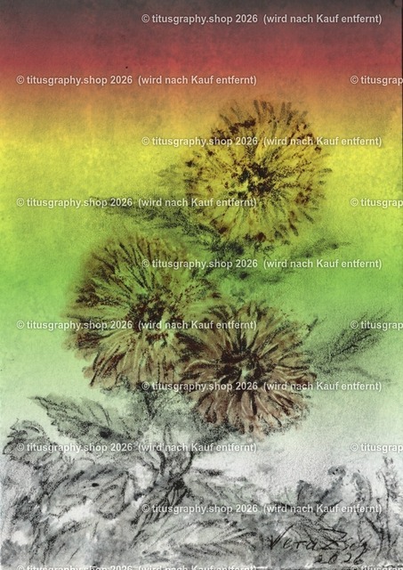 Asterngruß Variation 42 | Zeichnung von Vera Zschecked exclusiv auf titusgraphy.eu - Realisiert mit Pictrs.com