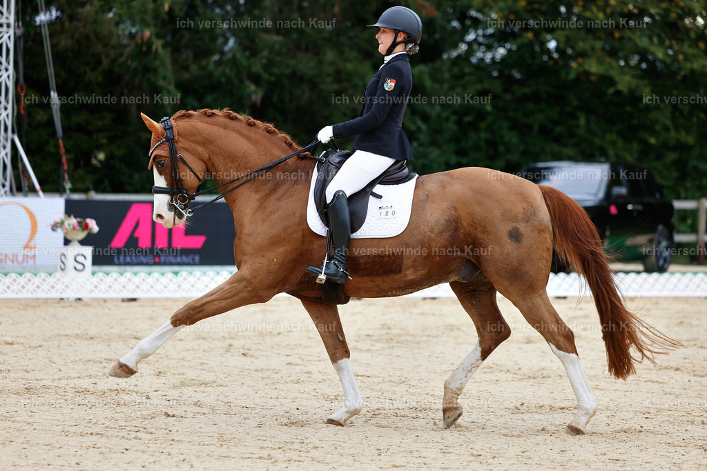 04_1-180-Dressur M__ -StoibPH-StoibPH-2638 | working equitationturnier fotograf videograf stoibphotography marixx film working equitation deutschland reitsport turnierfotografie eventfotografie equestrian events