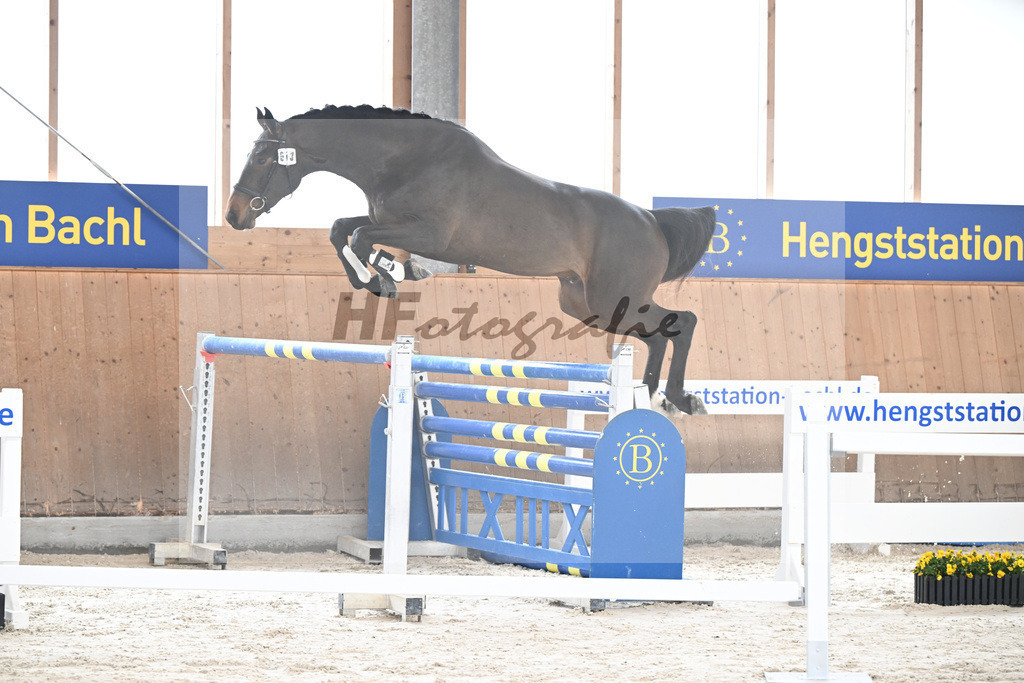 Kat-Nr. 13 Courchevel B v. Cizero Z_Bachl_5251348 | hf-fotografie - Realisiert mit Pictrs.com