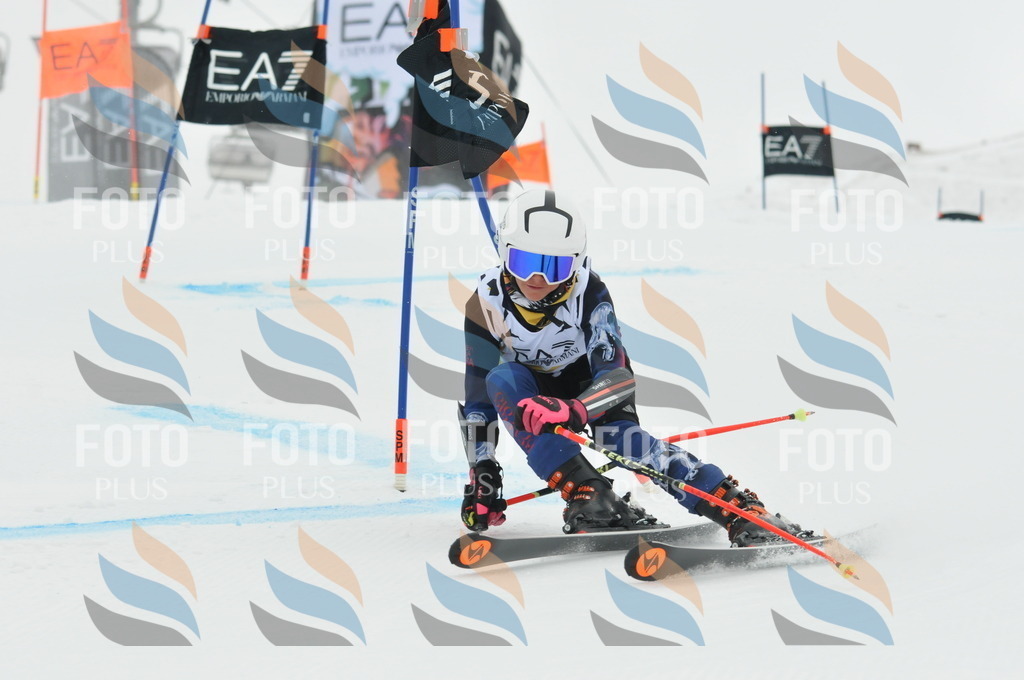 DSC_8728 | holidayphoto