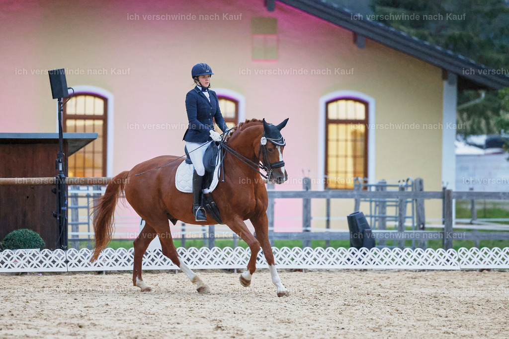 04_2-177-Dressur M__ -StoibPH-3029 | working equitationturnier fotograf videograf stoibphotography marixx film working equitation deutschland reitsport turnierfotografie eventfotografie equestrian events