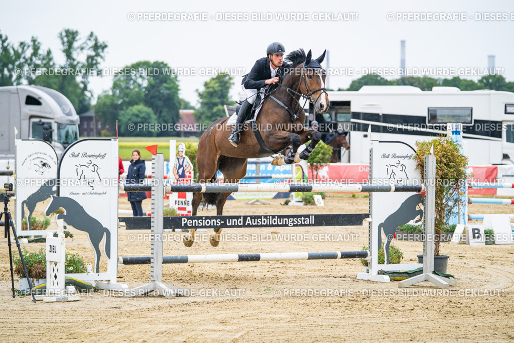 DSC09156 | Pferdegrafie