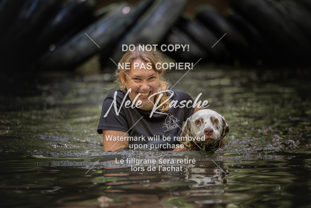 nelerasche_SaWingst1400-1500_448 | nelerasche