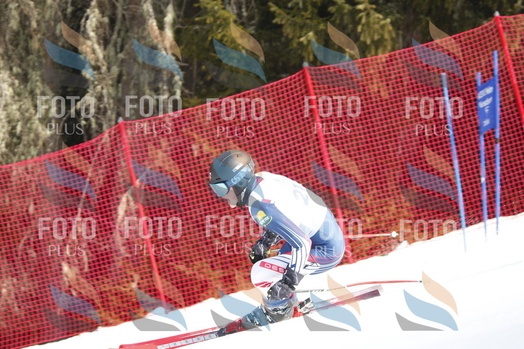 D8385 | holidayphoto