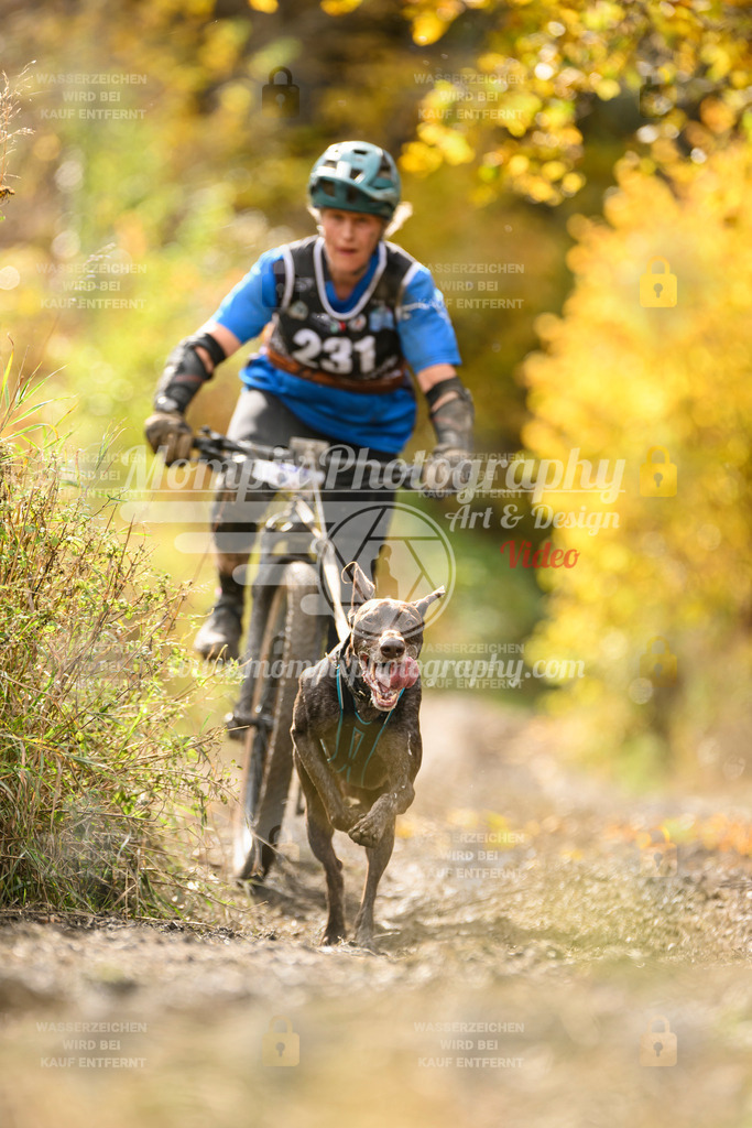 MompixPhotography_ICF_WC_2024_SA_Bike_-395 | PayLife