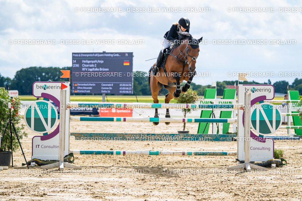 DSC05538 | Pferdegrafie