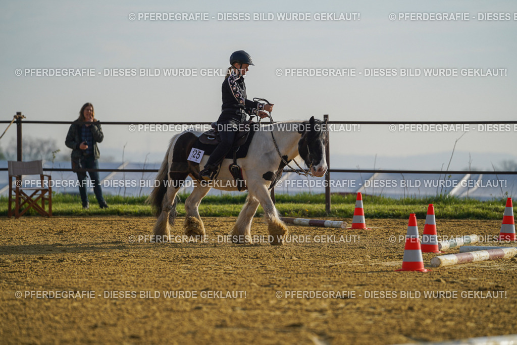 DSC00211 | Pferdegrafie