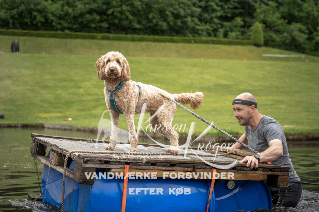 0958_ZZ93185 | kk-dogfotos