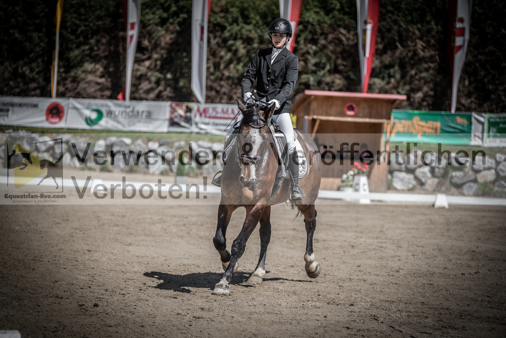 DSC_0367 | equestrian-live-com