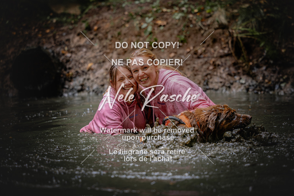 nelerasche_SaWingst1200-1230_373 | nelerasche