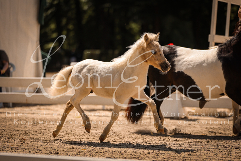 01.DoKR00083 | Leoni Ertmer Photography - Realisiert mit Pictrs.com