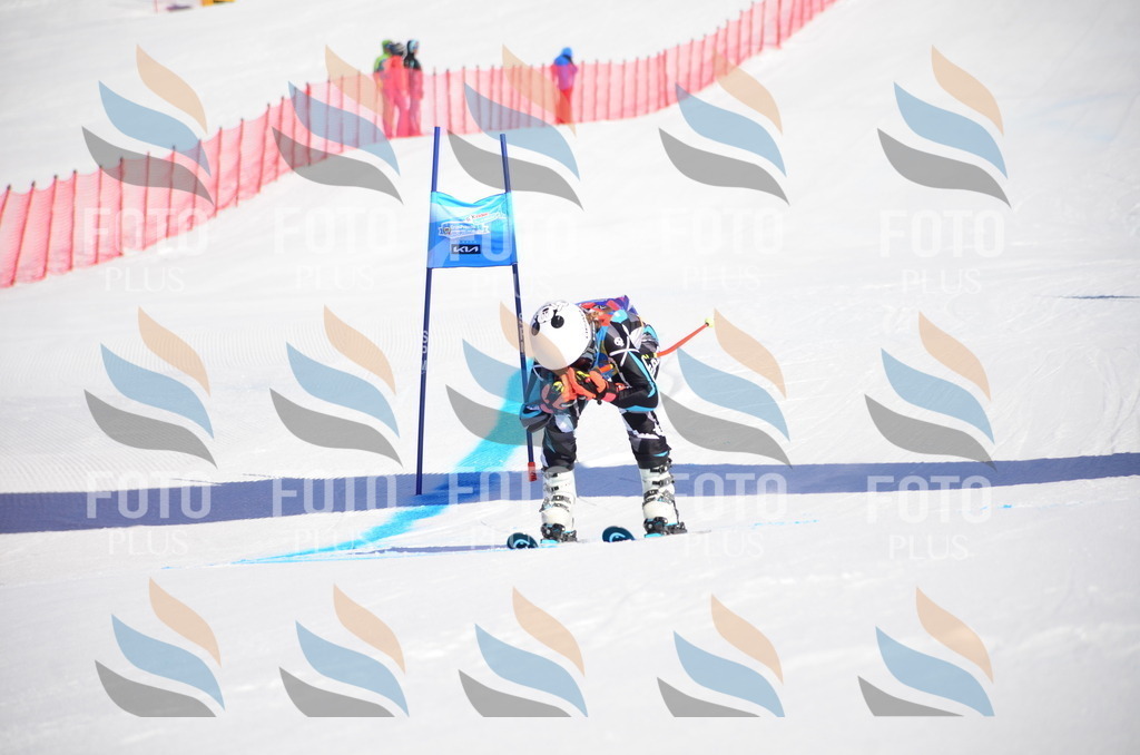 VR4_8666 | holidayphoto