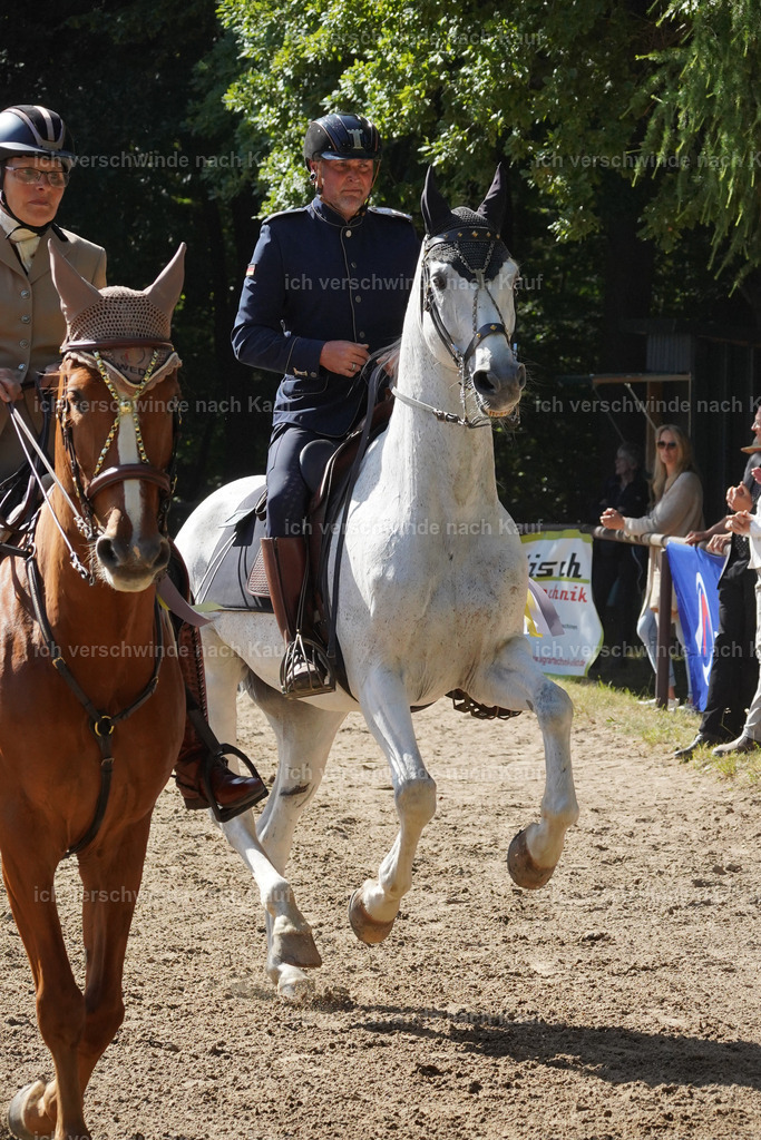 Siegerehrung_Lucie984 | working equitationturnier fotograf videograf stoibphotography marixx film working equitation deutschland reitsport turnierfotografie eventfotografie equestrian events