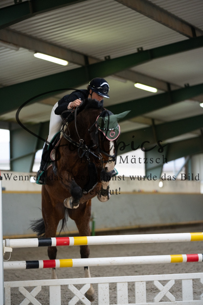 A7V04467 | Pferdefotograf